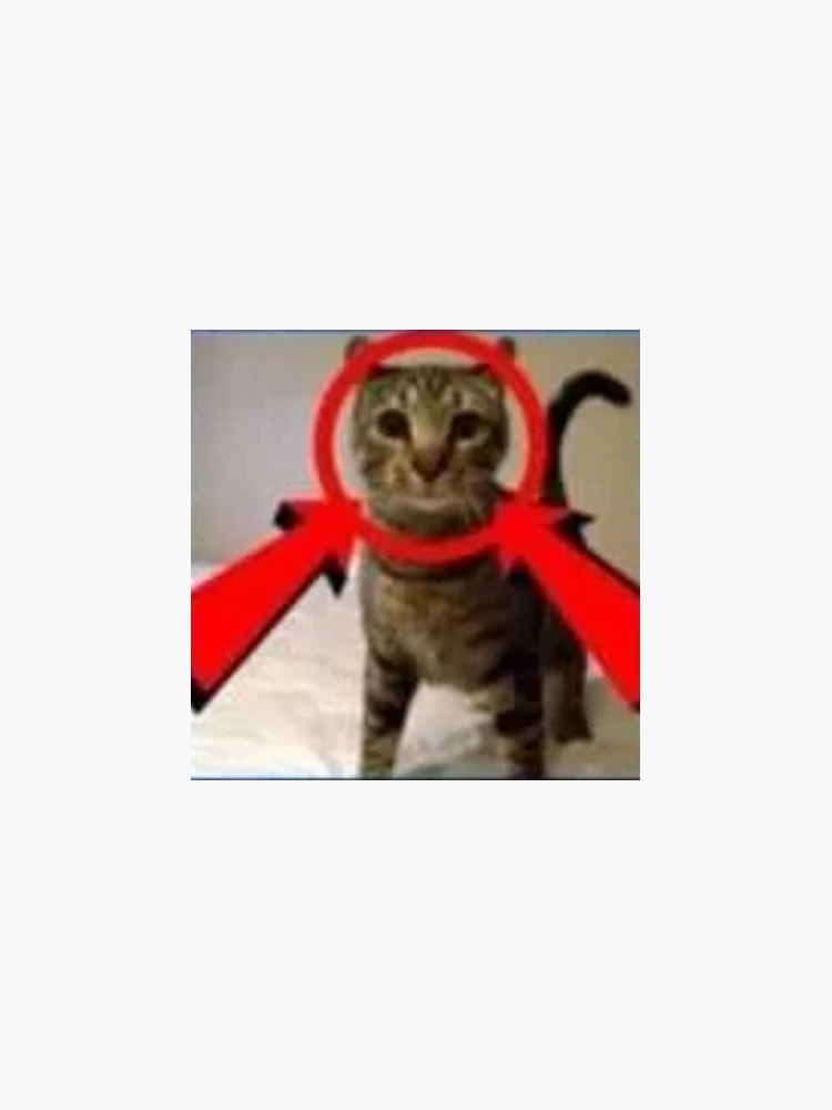 Aperçu 3 sur 3. Sticker avec l'œuvre merde de chat créée et vendue par whyidothis.