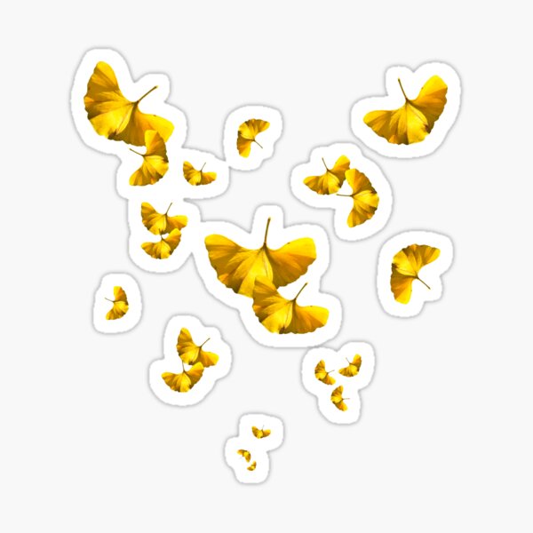 Aperçu de l'œuvre Gingko créée et vendue par MigBardsley.