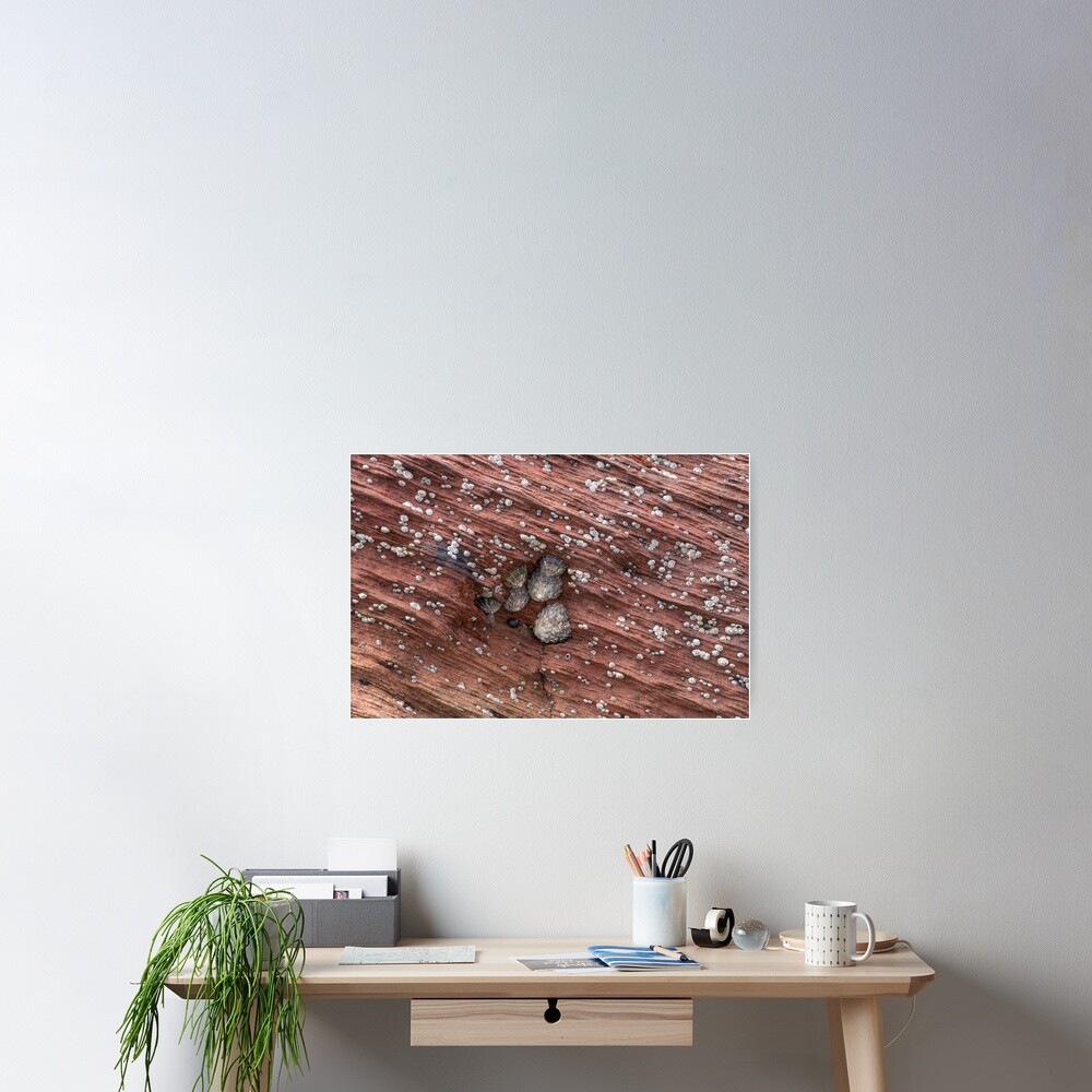 Item preview, Poster designed and sold by ccullen222.