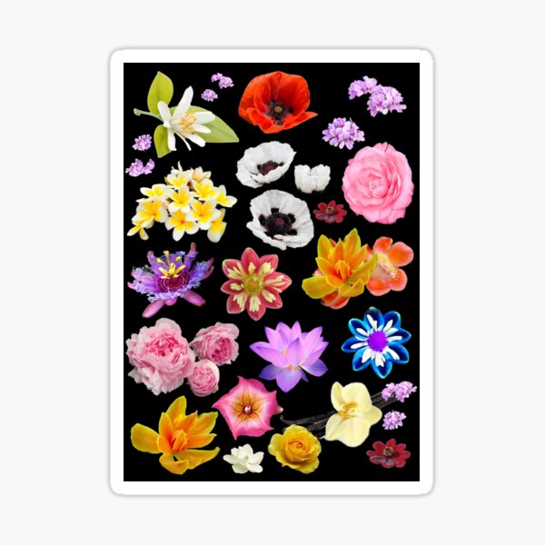 Item preview, Ediemagic Flora designed and sold by Ediemagic.