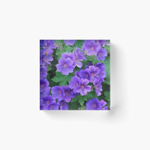 Item preview, Flores designed and sold by Lindisfarne Scriptorium.
