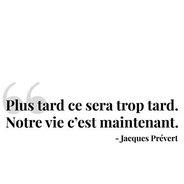 Aperçu de l'œuvre Plus tard ce sera trop tard de sandywoo