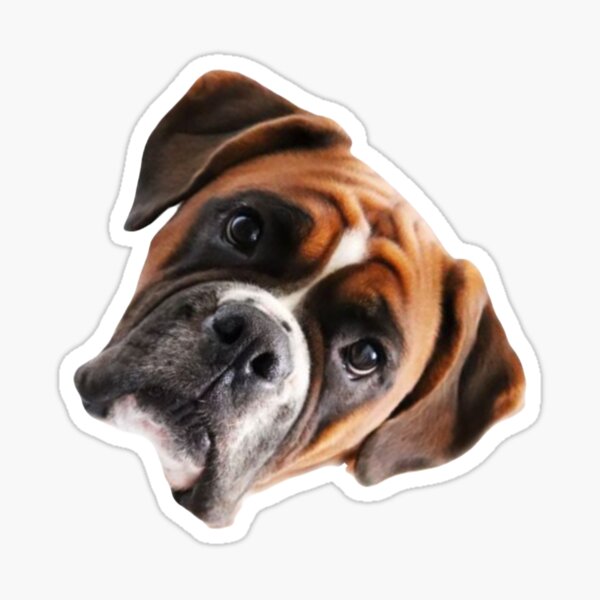 Artikelvorschau, Boxer-Hund - Klassisch gedrehtes Gesicht entworfen und verkauft von Prim-shop.