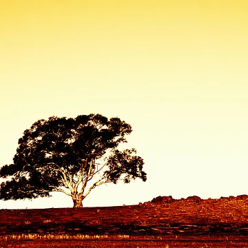 Artwork thumbnail, Silent Warrior by Craig Shillington