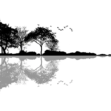 Imagen de la obra Guitarra de la naturaleza de maryedenoa