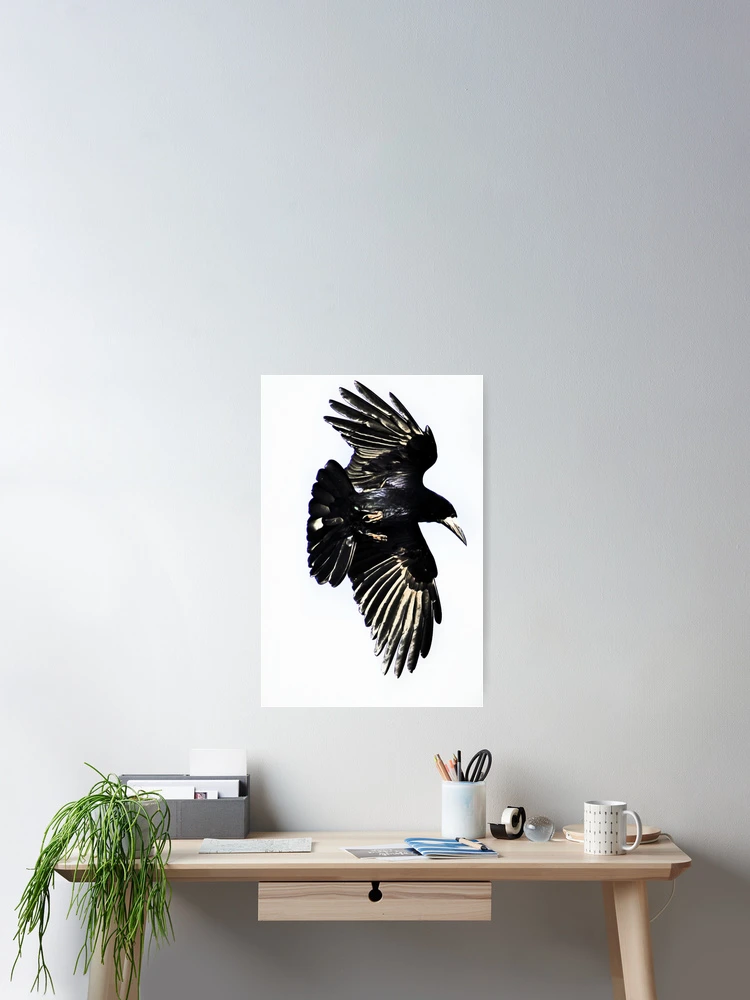 Thumbnail 2 of 3, Poster, Huginn designed and sold by Darren Bailey LRPS.