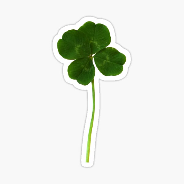 Aperçu de l'œuvre Véritable trèfle à quatre feuilles créée et vendue par denimaheart.