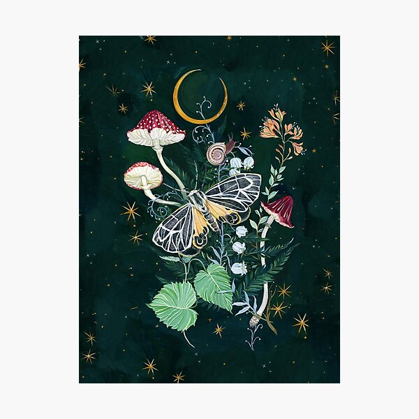 Aperçu de l'œuvre Noctuelle des champignons créée et vendue par claramcallister.
