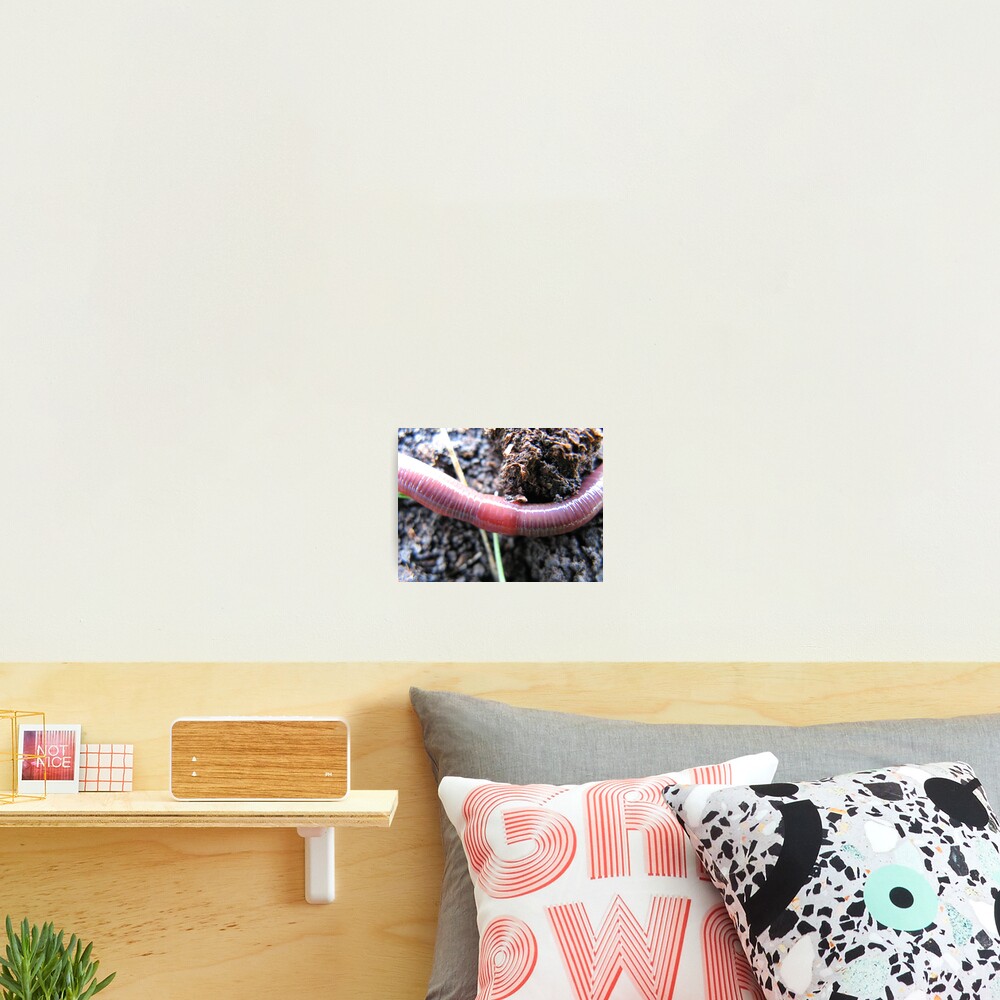 Item preview, Photographic Print designed and sold by SofiaYoushi.