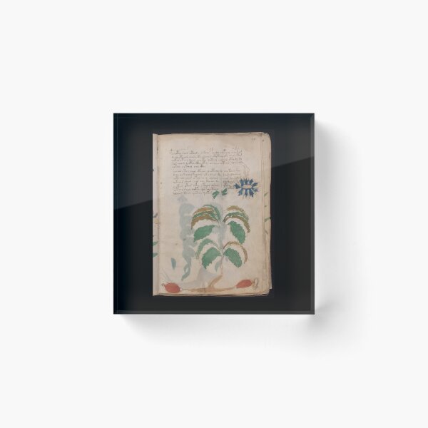 Aperçu de l'œuvre Livre manuscrit de Voynich -manuscrit vieux livre vintage créée et vendue par TeeARTHY.
