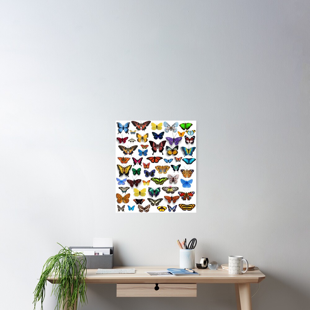 Item preview, Poster designed and sold by chandahopkins.