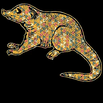 Artwork thumbnail, Coati - Coati Geometric by UnknownArtistt