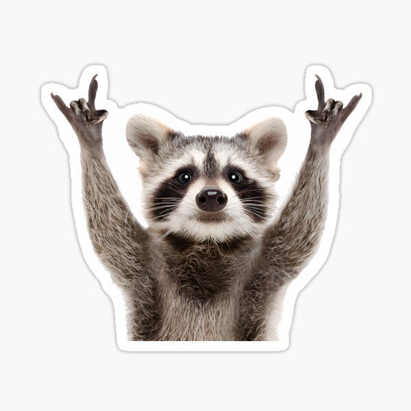 Aperçu de l'œuvre Panneau de roche Jimothy Raccoon créée et vendue par stickersworld31.