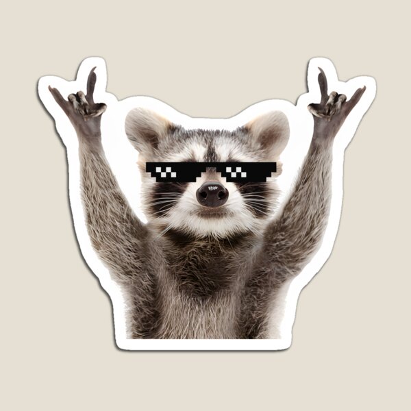 Aperçu de l'œuvre Jimothy Raccoon Rock Sign Lunettes amusantes créée et vendue par stickersworld31.