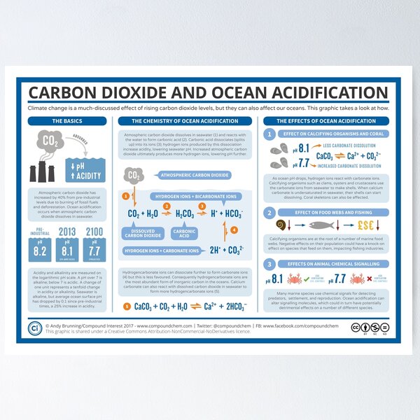 Aperçu de l'œuvre La chimie de l'acidification des océans créée et vendue par compoundchem.