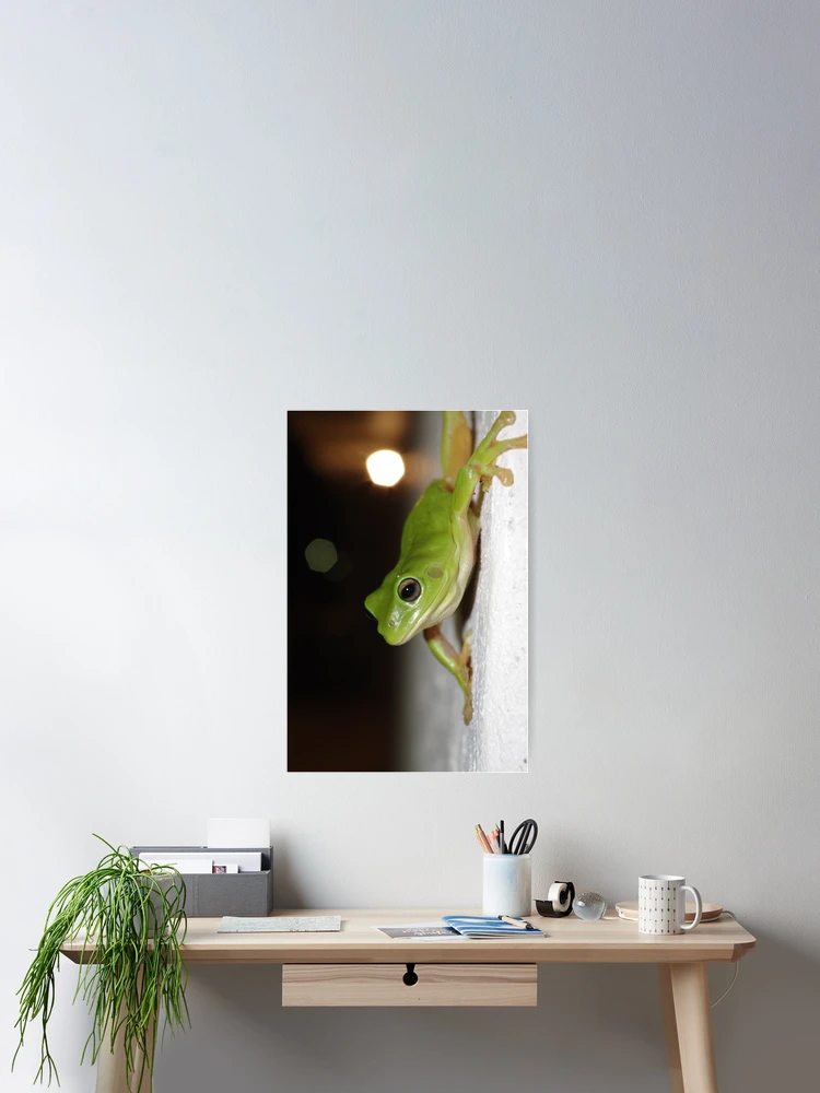 Thumbnail 2 of 3, Poster, Wall frog designed and sold by Jayson Gaskell Photography.