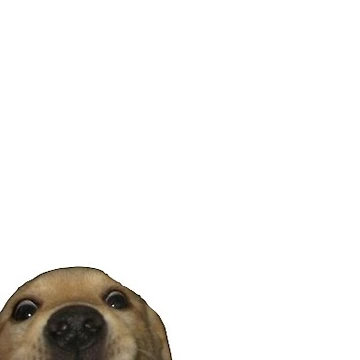 Vorschaubild zum Design Doggo von chipschipschips