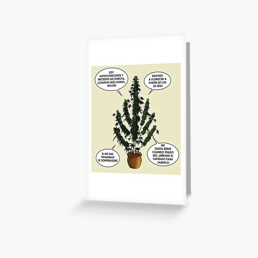 Vista previa del artículo con la obra «Tarjetas de felicitación», diseñado y vendido por 898music.