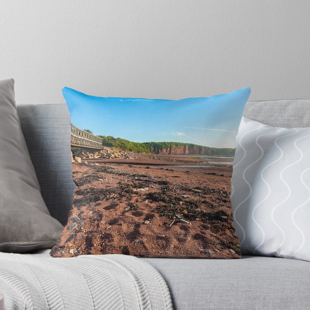 Aperçu de l'œuvre Coussin créée et vendue par Manon Boily.