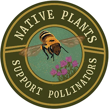 Aperçu de l'œuvre Les plantes indigènes soutiennent les pollinisateurs de Sadhbh rua