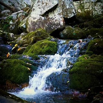 Artwork thumbnail, Cascade by VividExhibition