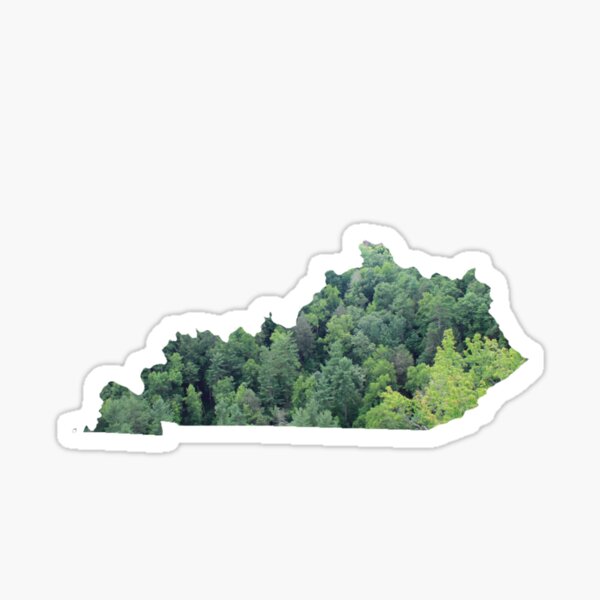 Aperçu de l'œuvre KY Forest créée et vendue par kateweav.