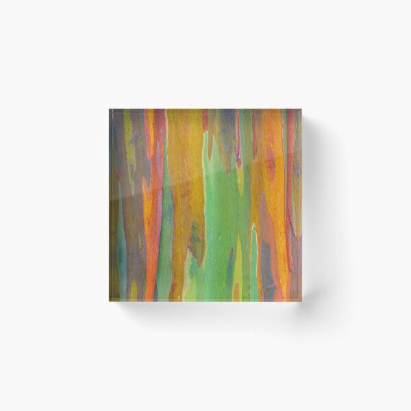 Item preview, Eucalyptus arco iris designed and sold by runlenarun.