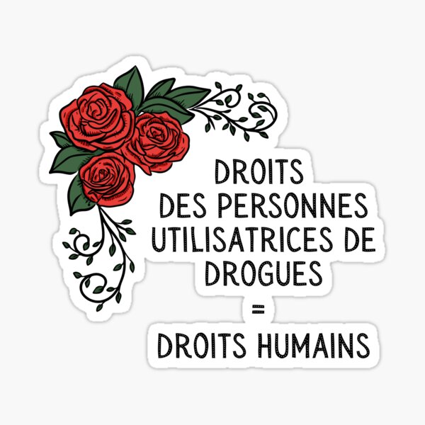 Aperçu de l'œuvre Droits avec Roses en blanc créée et vendue par AQPSUD.