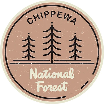 Artwork thumbnail, Chippewa National Forest by studio838