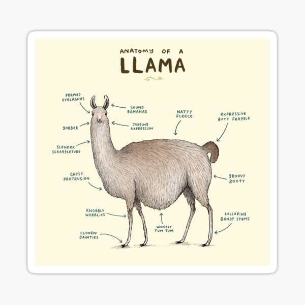 Item preview, Anatomía de una llama designed and sold by SophieCorrigan.