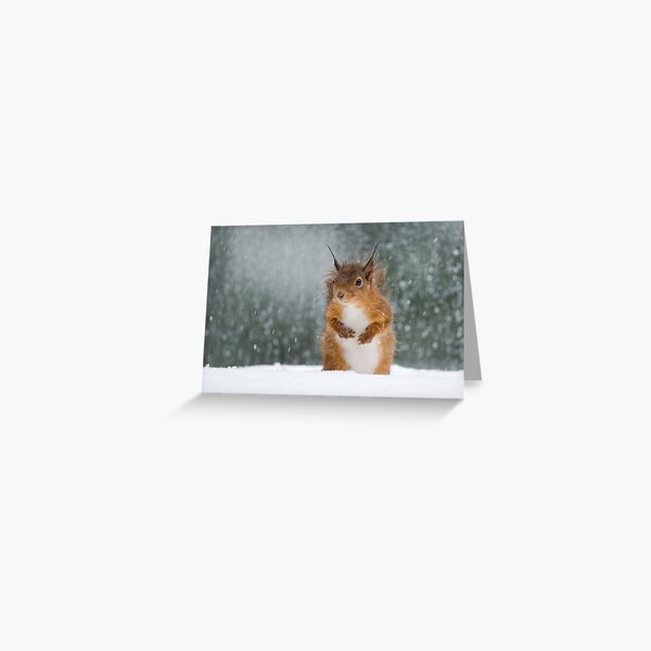 Item preview, Ardilla roja en la nieve. designed and sold by Nigel Tinlin.