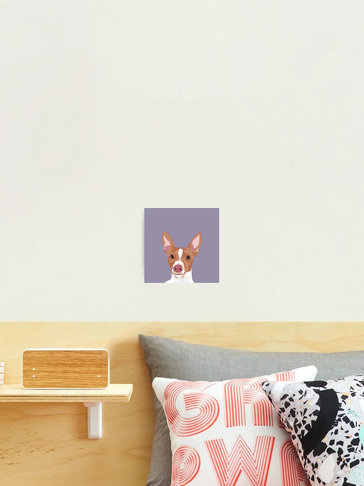 Thumbnail 2 of 3, Photographic Print, Porthos designed and sold by VieiraGirl.