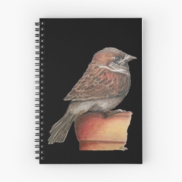 Item preview, Sparrow on terracotta pot | bird lover designed and sold by NathBros.