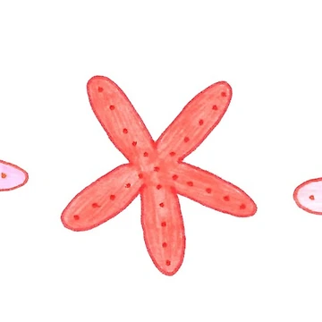 Artwork thumbnail, starfish by katelaughlin