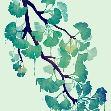Aperçu de l'œuvre Ô Ginkgo (en vert) de littleclyde