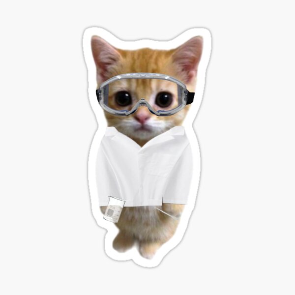 Aperçu de l'œuvre le chat scientifique créée et vendue par caro1c.