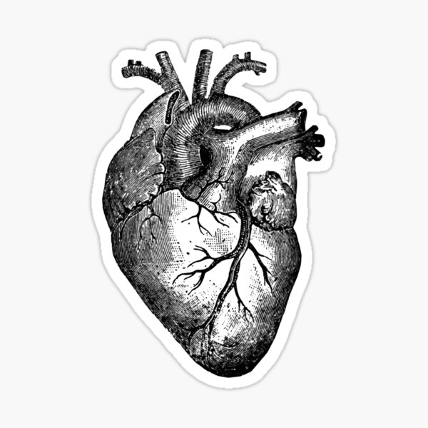 Aperçu de l'œuvre Coeur d'époque créée et vendue par SadieGislason.