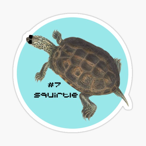 Artikelvorschau, Kanto Starter realistisches Design Wasserschildkröte entworfen und verkauft von KurtisBlanda.