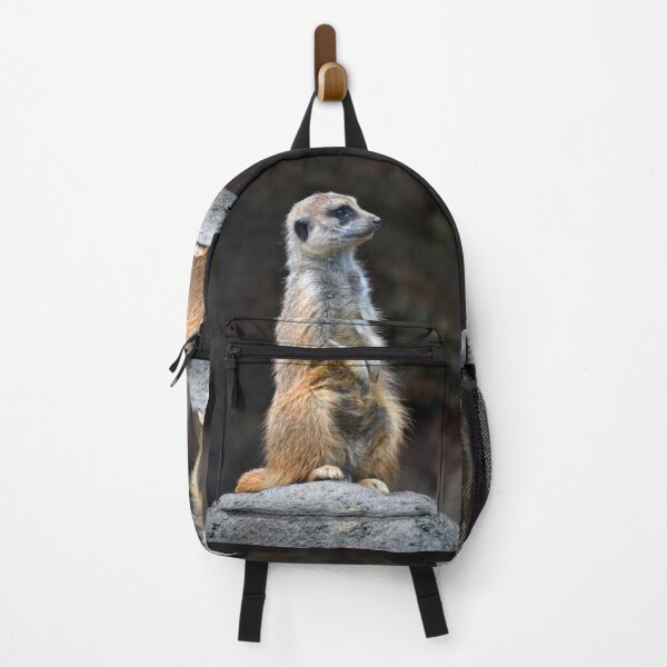 Aperçu de l'œuvre Suricate créée et vendue par Savannah Gibbs.