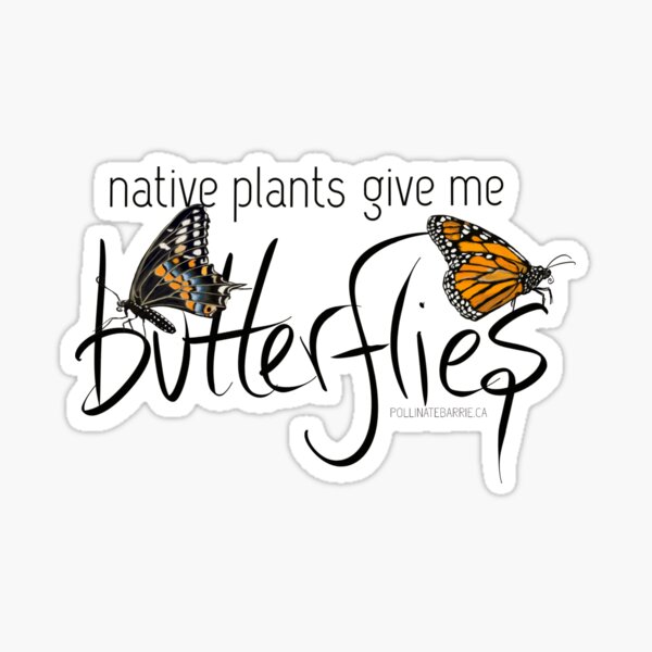 Aperçu de l'œuvre Les plantes indigènes me donnent des papillons créée et vendue par PollinateBarrie.