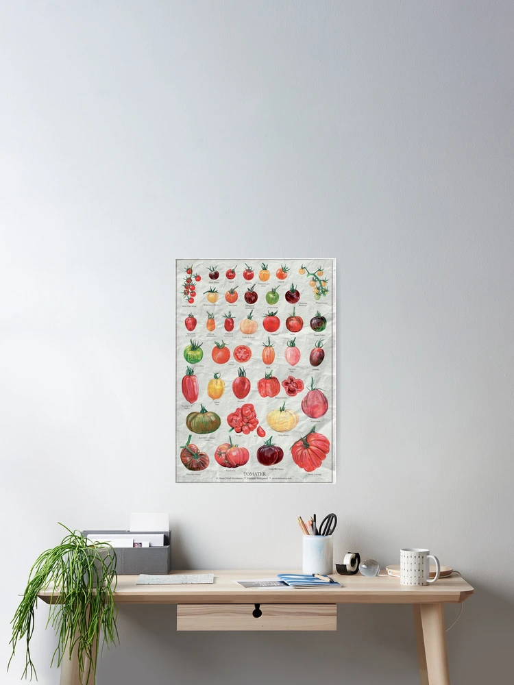 Thumbnail 2 of 3, Poster, Tomato chart designed and sold by sindux.