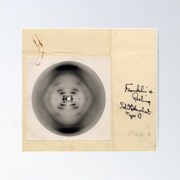 Item preview, Radiografía de ADN en forma B de Rosalind Franklin, 1952, fotografía de difracción designed and sold by ScienceSource.