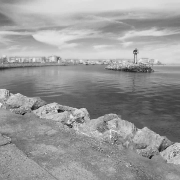 Artwork thumbnail, Starboard light. by Paul Pasco