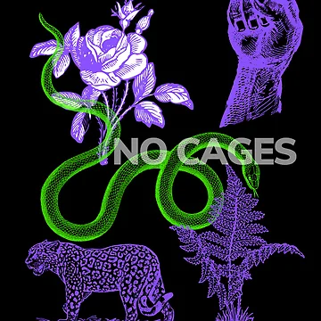 Artwork thumbnail, No Prisons No Cages No Walls by muchachafanzine