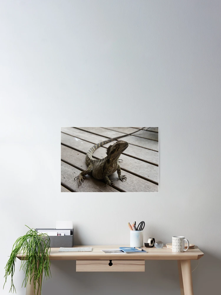 Thumbnail 2 of 3, Poster, Blue Tongue Lizard designed and sold by Giro Tavitian.