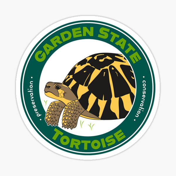 Artikelvorschau, Gartenschildkröte, Westliche Hermannsschildkröte entworfen und verkauft von ihplpiyhzcw8.