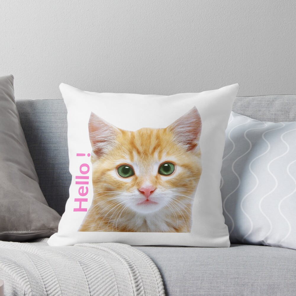 Aperçu de l'œuvre Coussin créée et vendue par Redkaone.