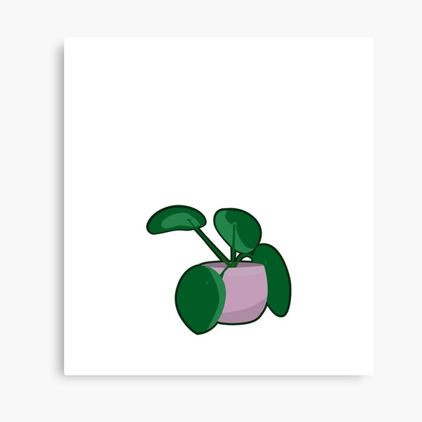 Aperçu de l'œuvre Pilea Plante créée et vendue par sierraford.