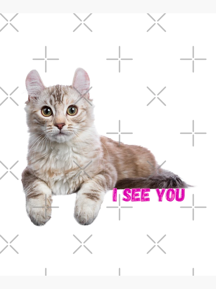 Aperçu 5 sur 5. Sac fourre-tout avec l'œuvre cat chat kitten stickers art designers,t shirts,digital art,graphic tees,t shirt roblox, t shirt printing,white t shirt créée et vendue par Redkaone.