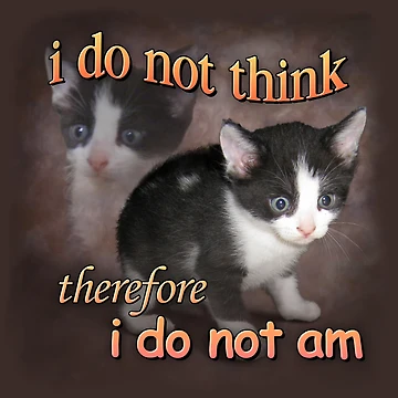 Imagen de la obra No pienso, por lo tanto, no existo - retrato de meme de gato de snazzyseagull
